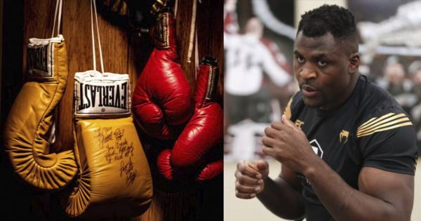 Тренер Нганну назвал трех возможных соперников в боксе: «Уайлдер, Джошуа и Фьюри» 